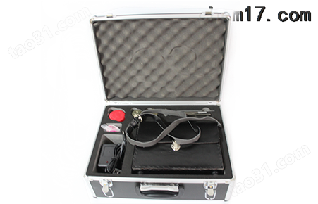 直读式防爆粉尘浓度测量仪CCZ1000 合理优质