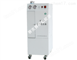 QL-N300/QL-N500/QL-NA300型氮气发生器