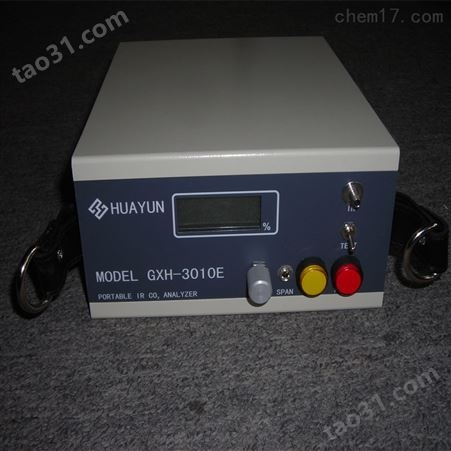 内置泵吸式CO气体分析仪气体测定仪