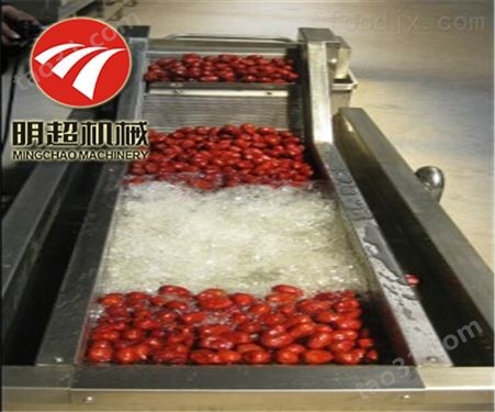一小时500公斤红枣毛刷喷淋清洗机生产厂家