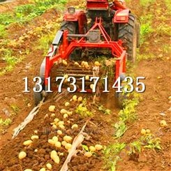 拖拉机后悬土豆红薯收获机不破皮收净率高