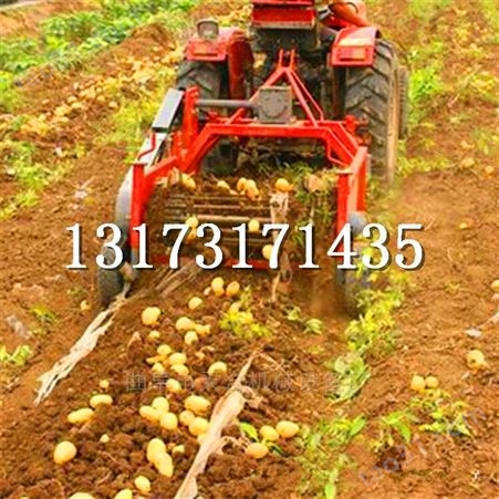 手扶拖拉机带土豆红薯收获机地瓜收挖机