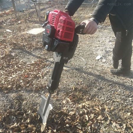 吉林苗木移植挖树机